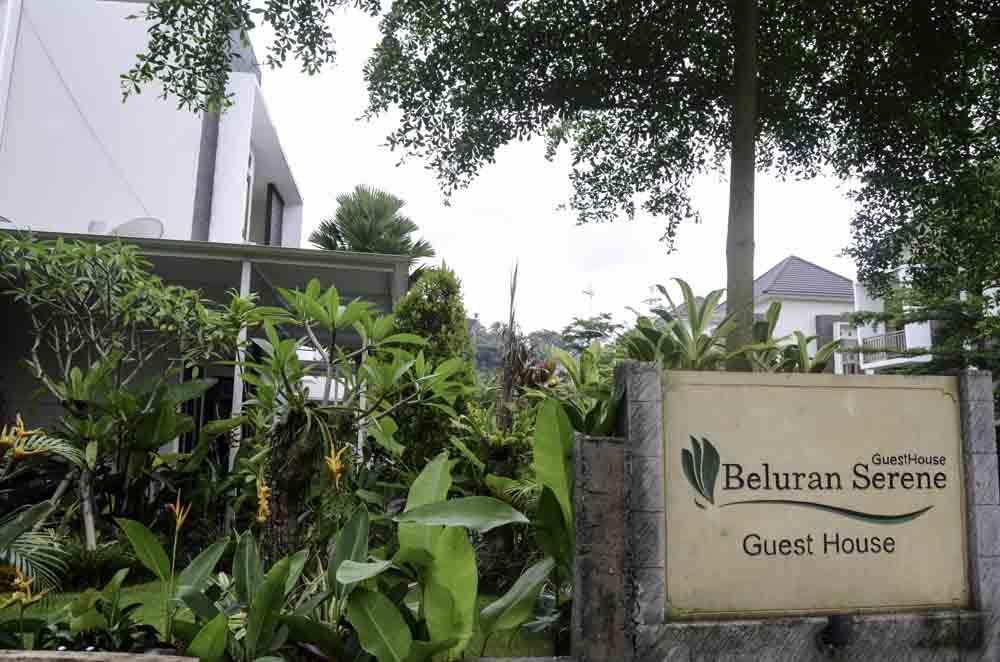 Beluran Serene Guesthouse Selemadeg Eksteriør bilde
