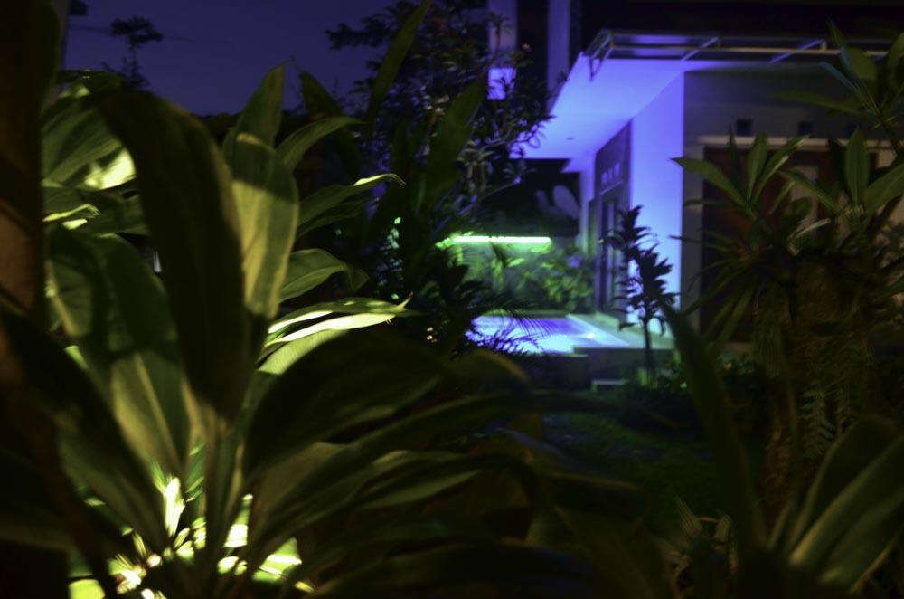 Beluran Serene Guesthouse Selemadeg Eksteriør bilde