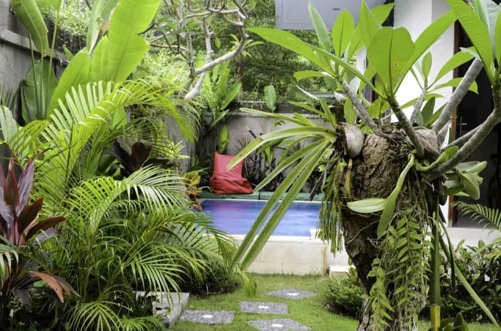 Beluran Serene Guesthouse Selemadeg Eksteriør bilde